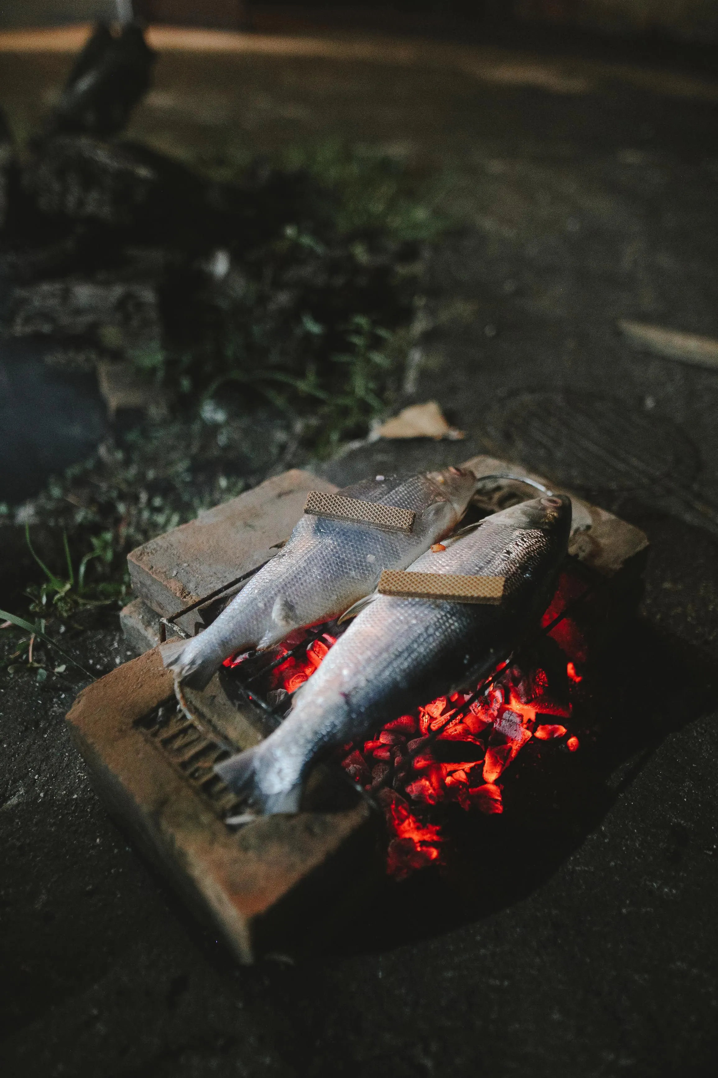 Pescado entero asándose sobre brasa de carbón, recién llegado de la lonja