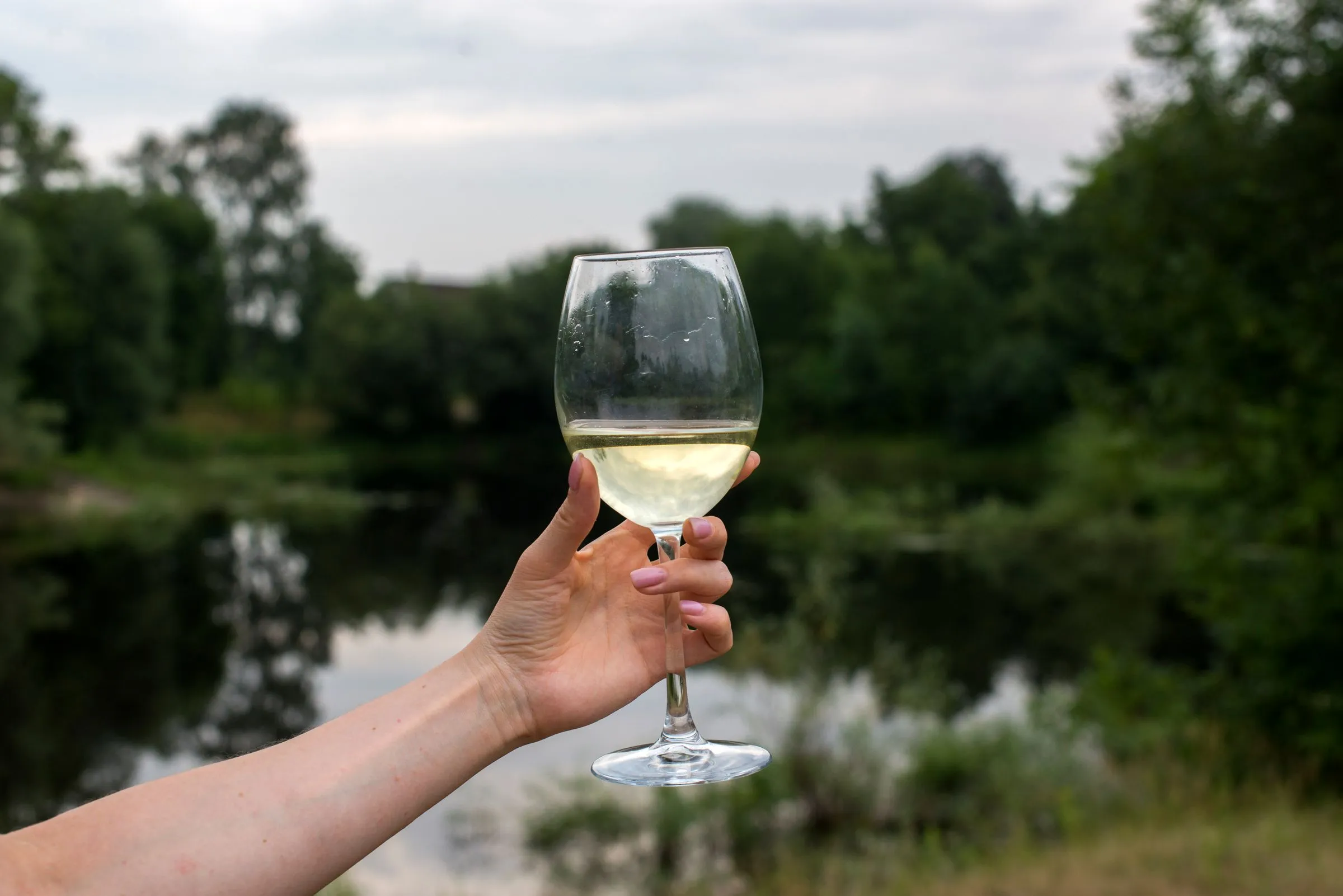 Copa de txakoli en la mano con la ría de Urdaibai al fondo